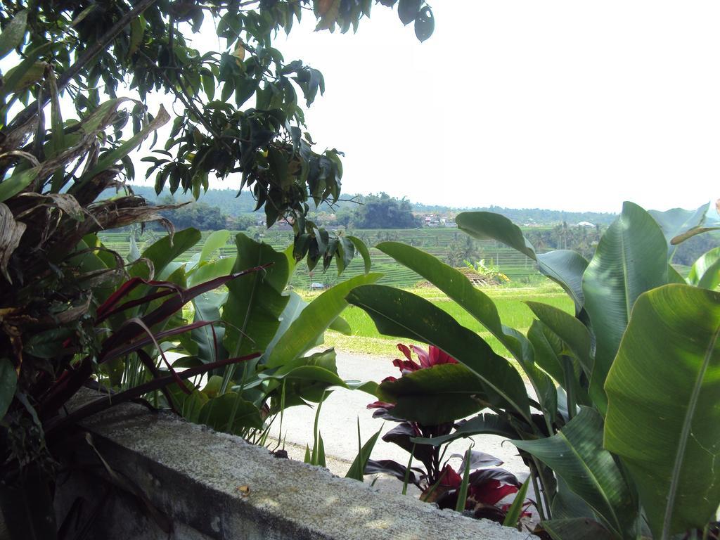 Teras Subak Jatiluwih Apartment Exterior photo