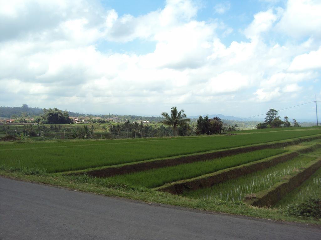 Teras Subak Jatiluwih Apartment Exterior photo